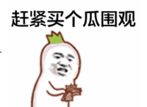 娱乐吃瓜酱现眼包,揭秘明星现眼包背后的故事