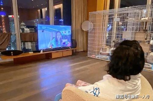 明星家里的背景