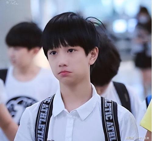 tf家族成员资料及图片